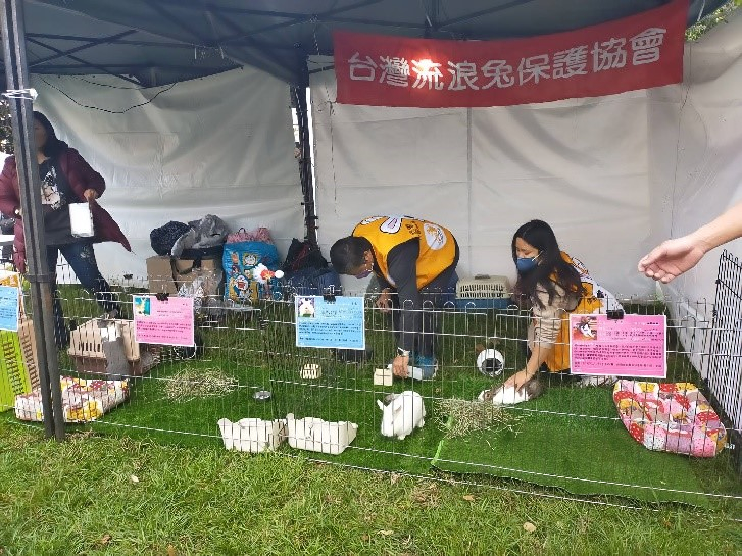 圖片來源:新北市政府